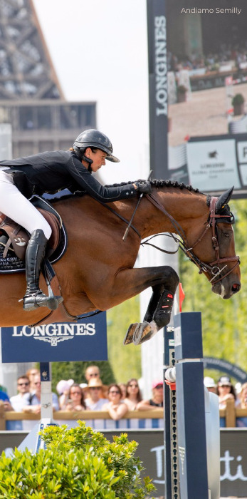 Gamme cheval